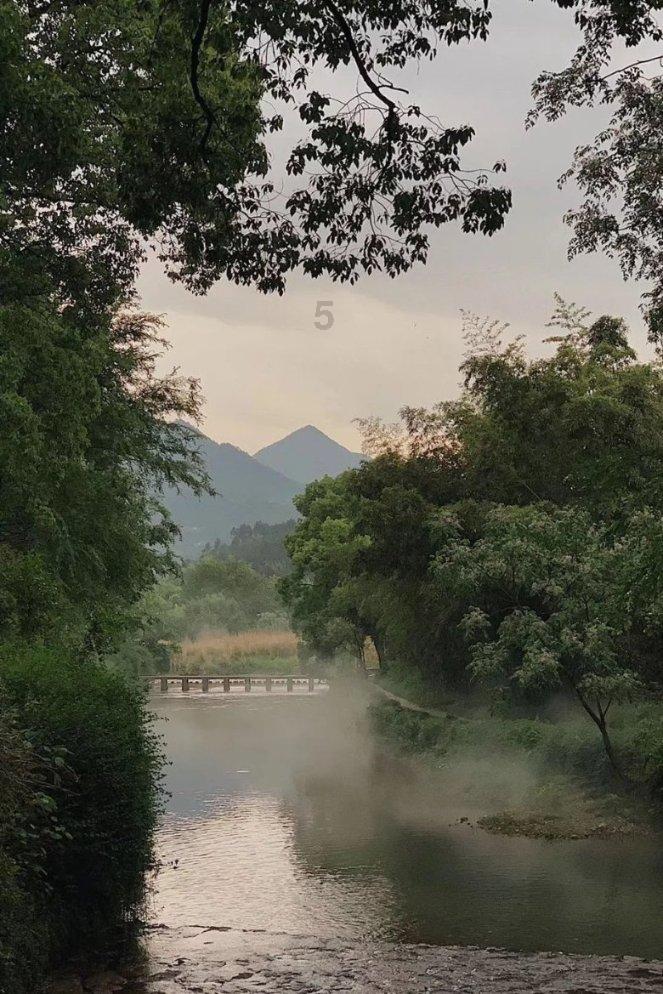 虫虫助手下载